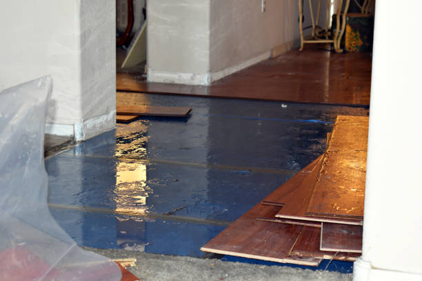 Professional Sewage Cleanup technician working in Clayton, NC